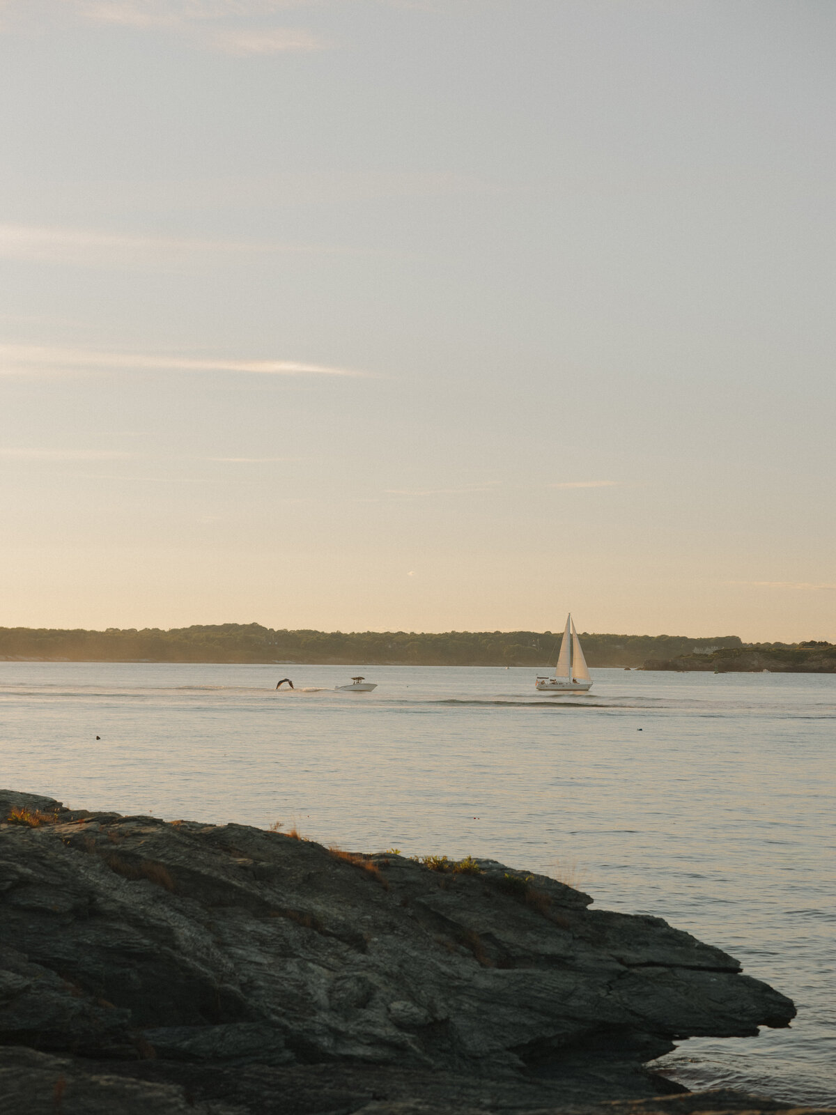 250830JENMAT_adv0206