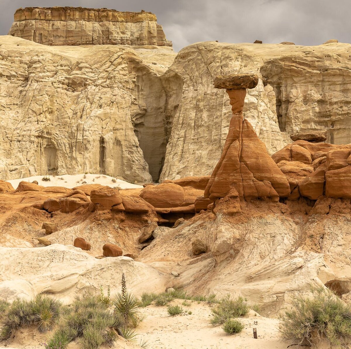 toadstool-hoodoos-grand-staircase-escalante-1332