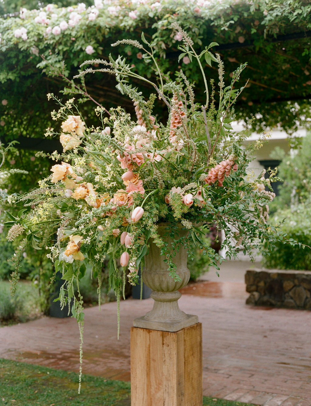 AnnaCalvin-Wed2025-494