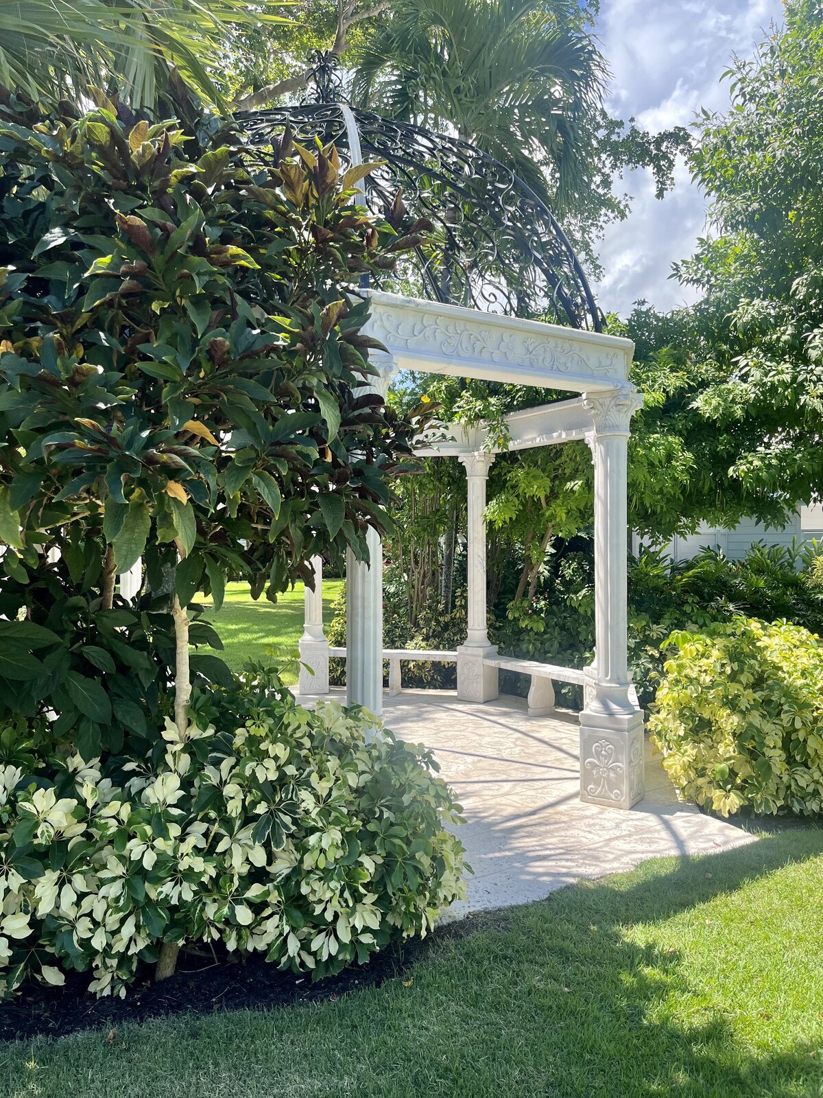 Image (4)