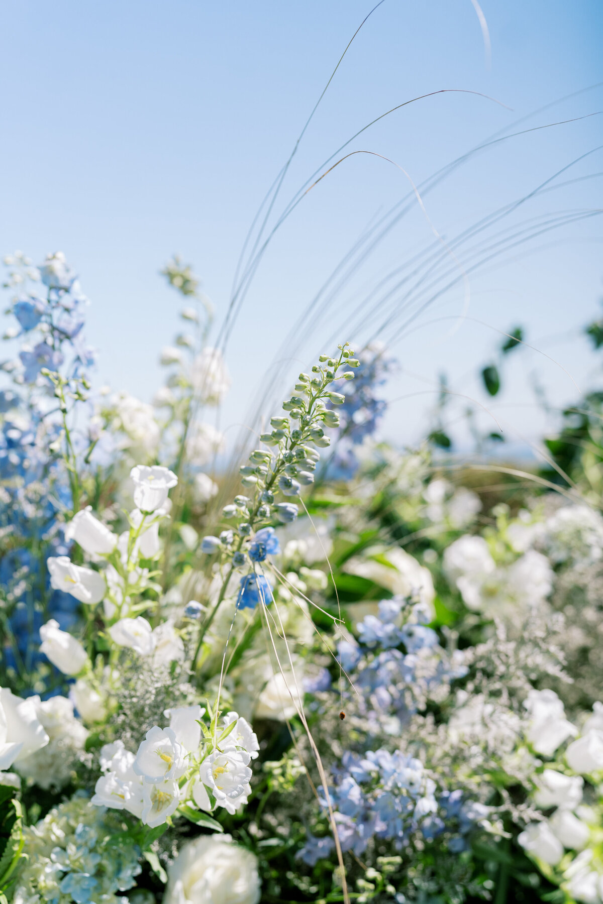 Montecito Club Wedding - Santa Barbara Wedding Photographer-00033