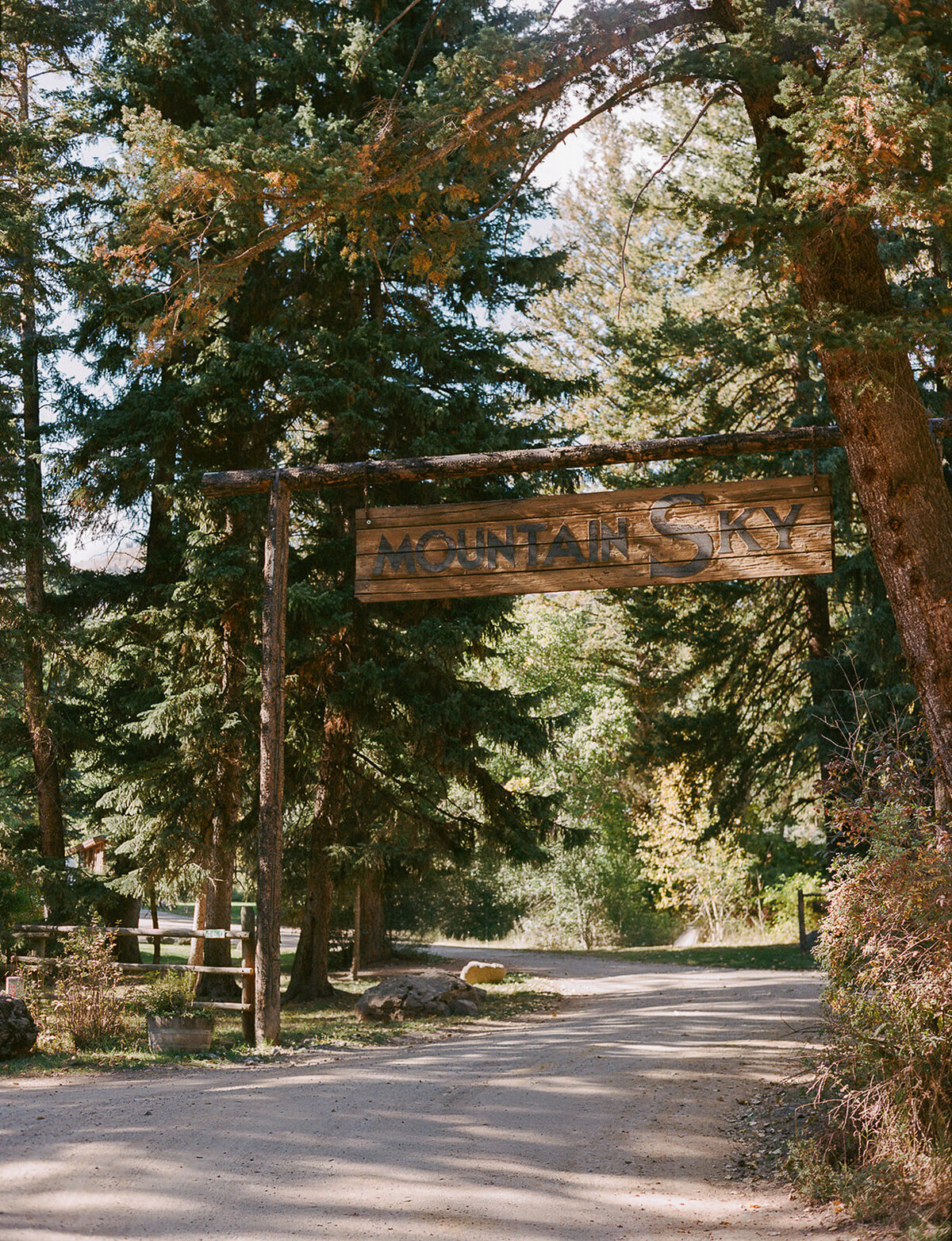 Brides - Corinne & Kevin, Montana-53