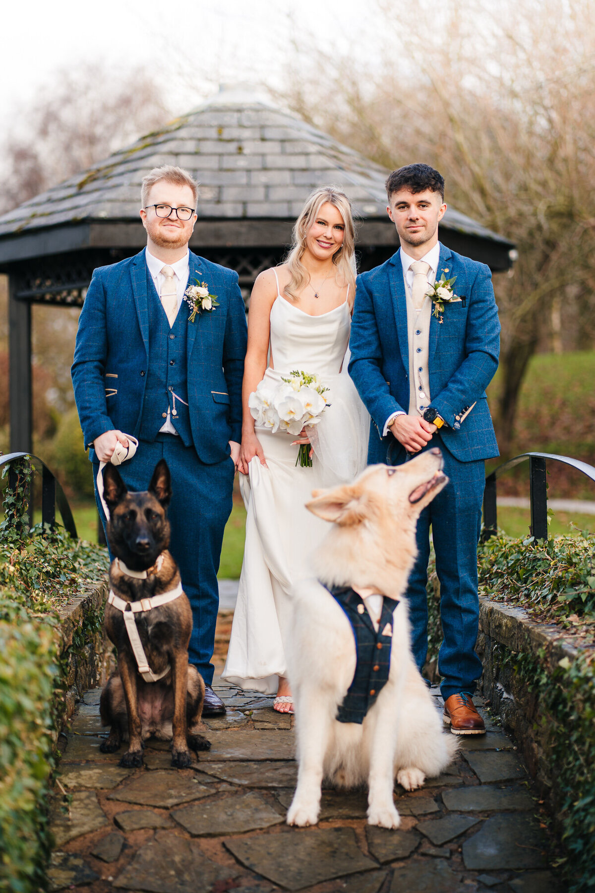 Bride, grooma and best man outside whilst holding their dogs at Mytton Fold Hotel taken by documentary wedding photographer Anthony Horseman