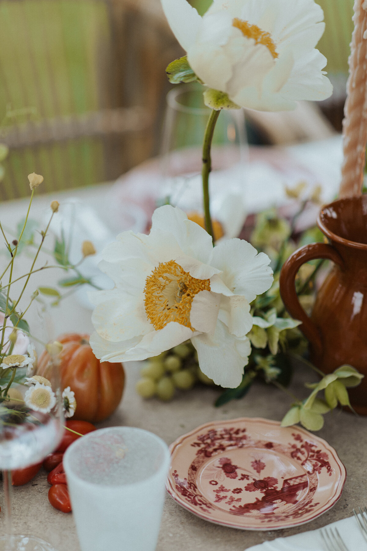 LizSchneiderPhoto-2828