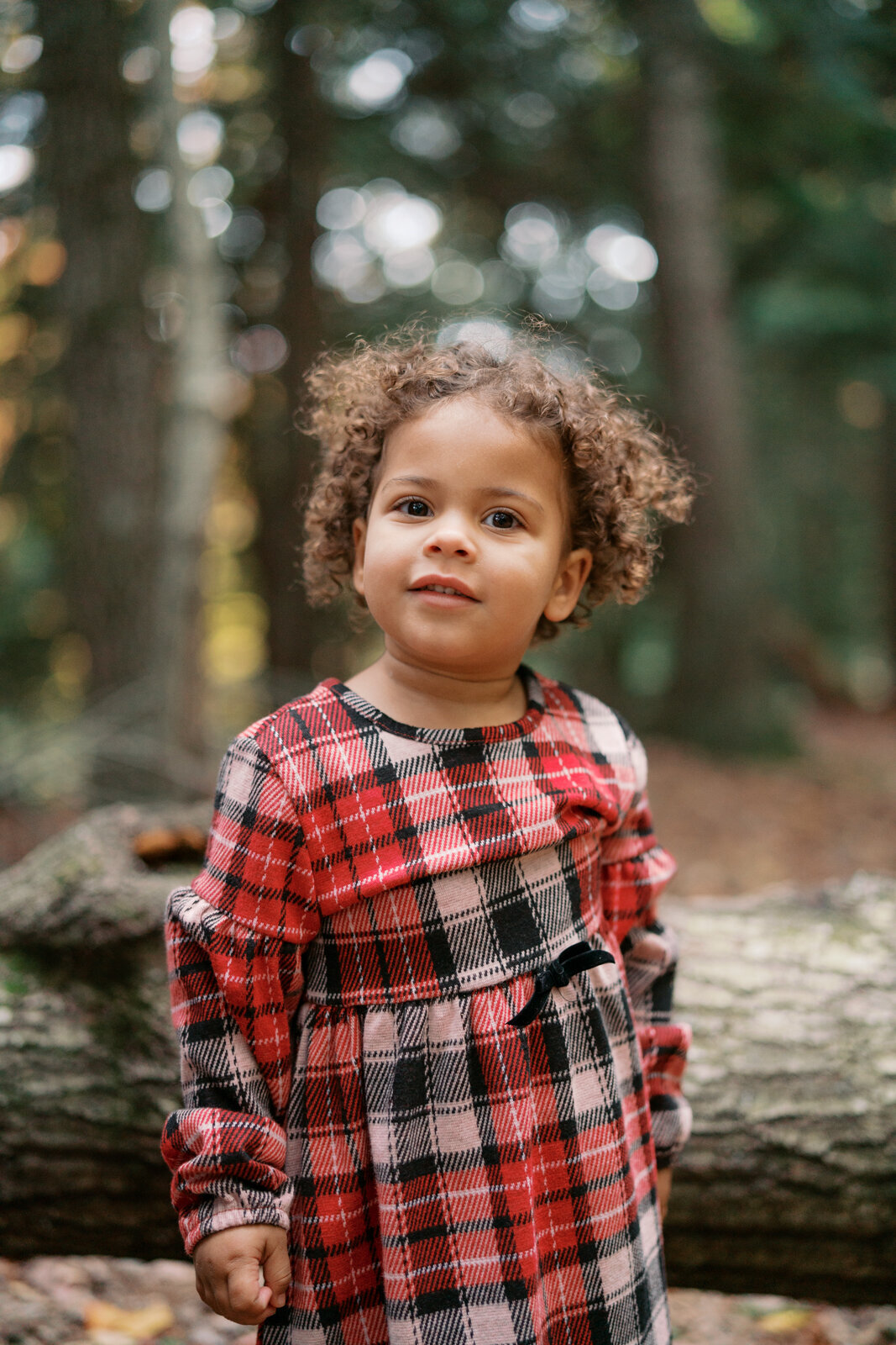 Grand Rapids Family Photographer-417