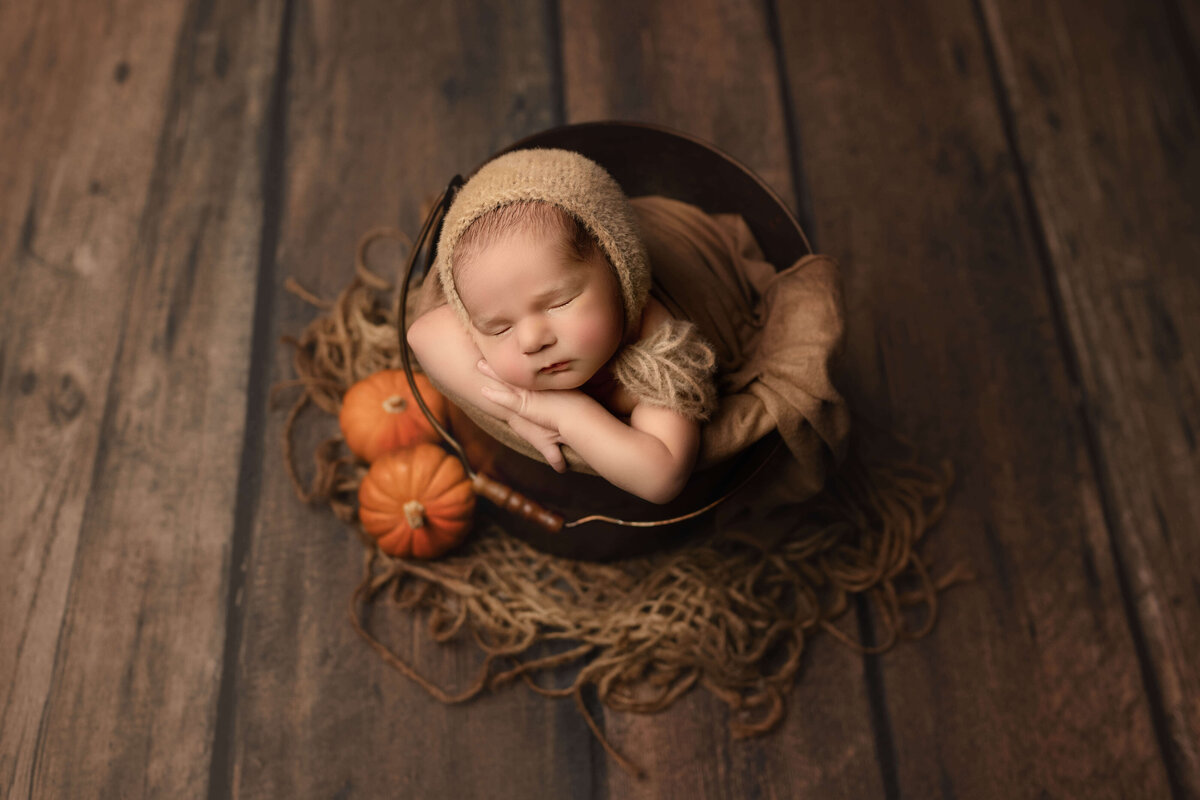 Newborn boy in bucket with pumpkins