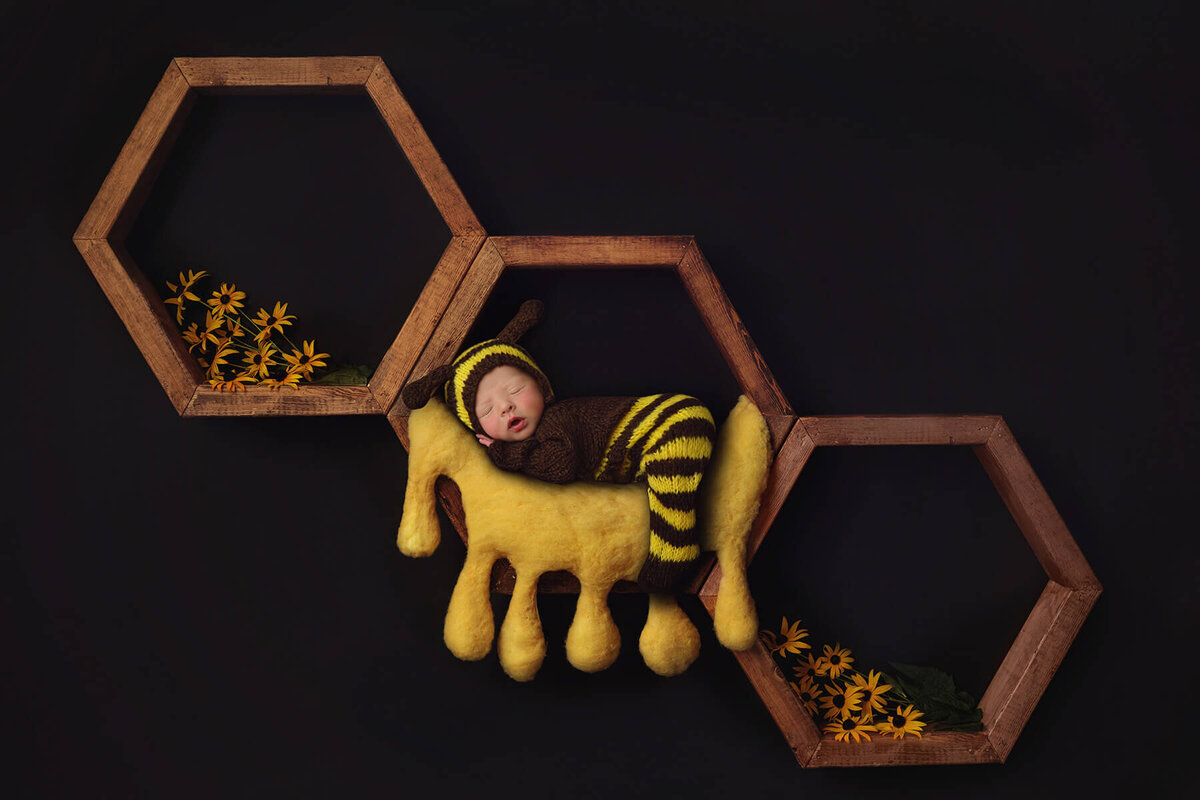 Baby dressed as a bumblebee sleeps atop honeycomb props with yellow flowers and dark background.