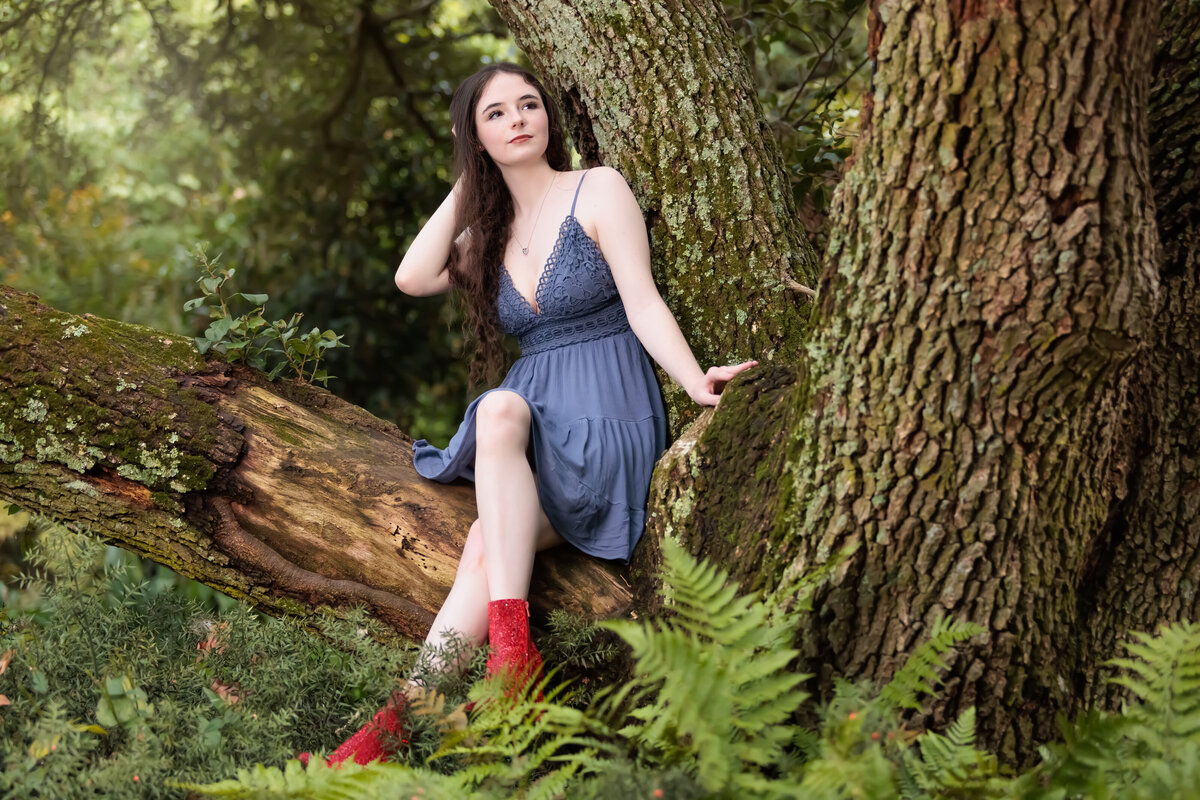 Fairy Like Feel  High School Senior sitting in a tree surrounded by ferns.