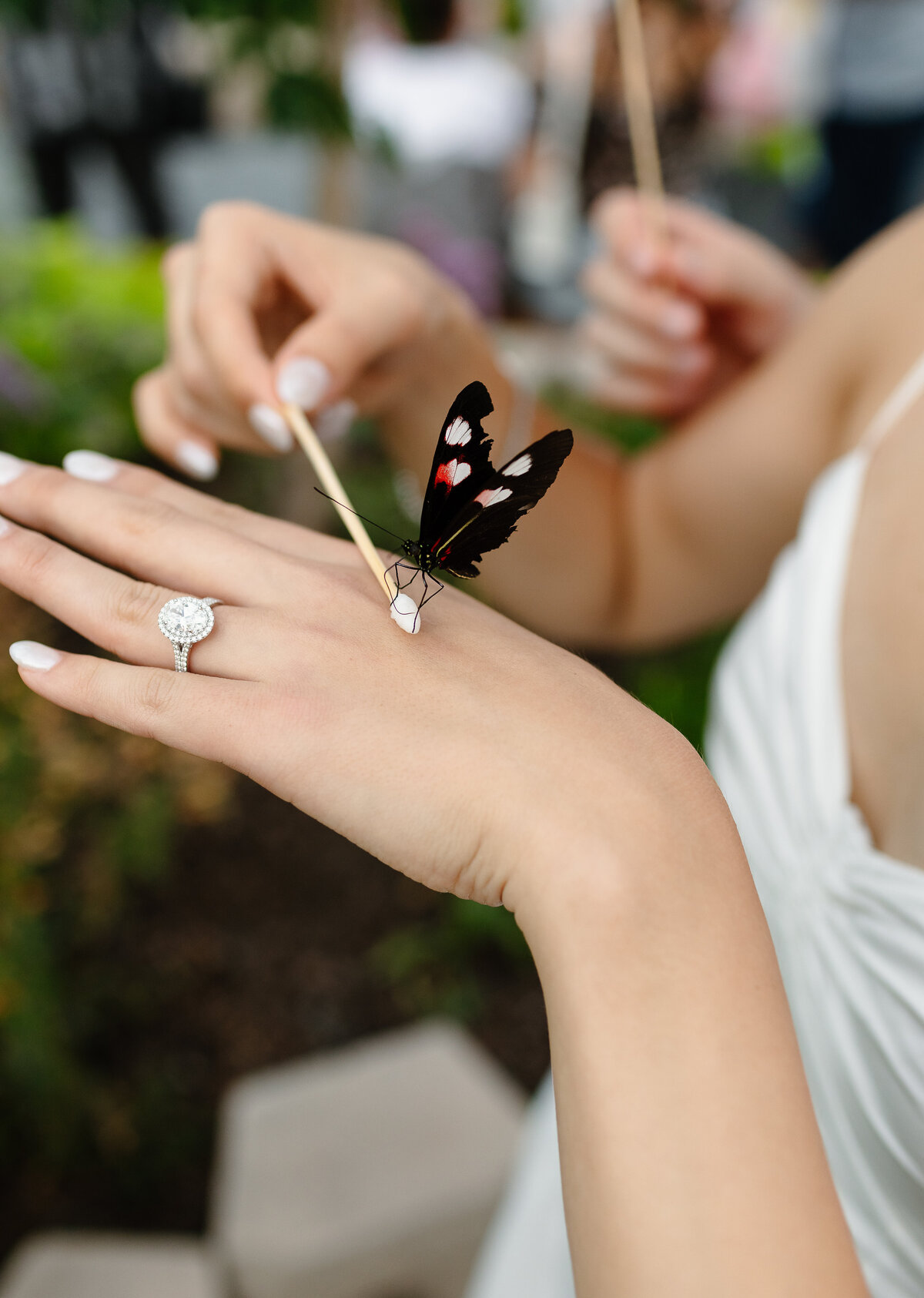 Lily & John Engagements_MSP_-16
