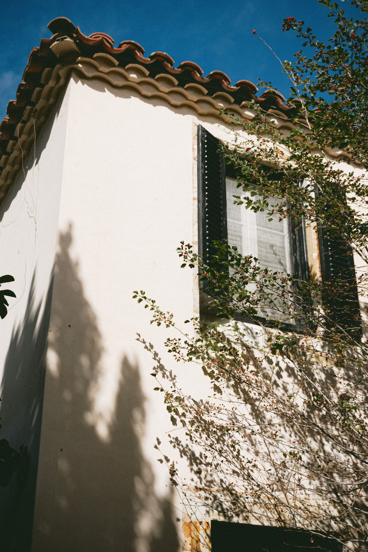 StonePine_Niki Rhodes Photo-224