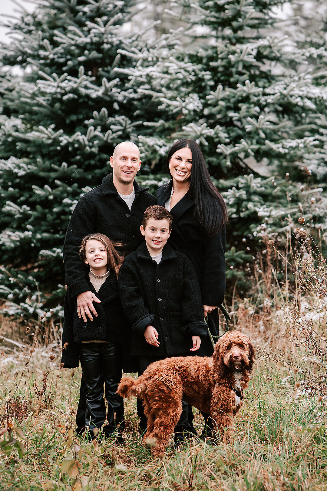 Collingwood Christmas Mini Sessions (2)