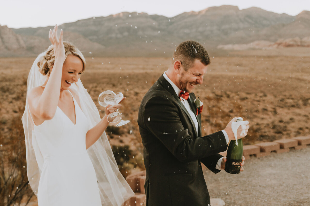 destination micro wedding photographer182