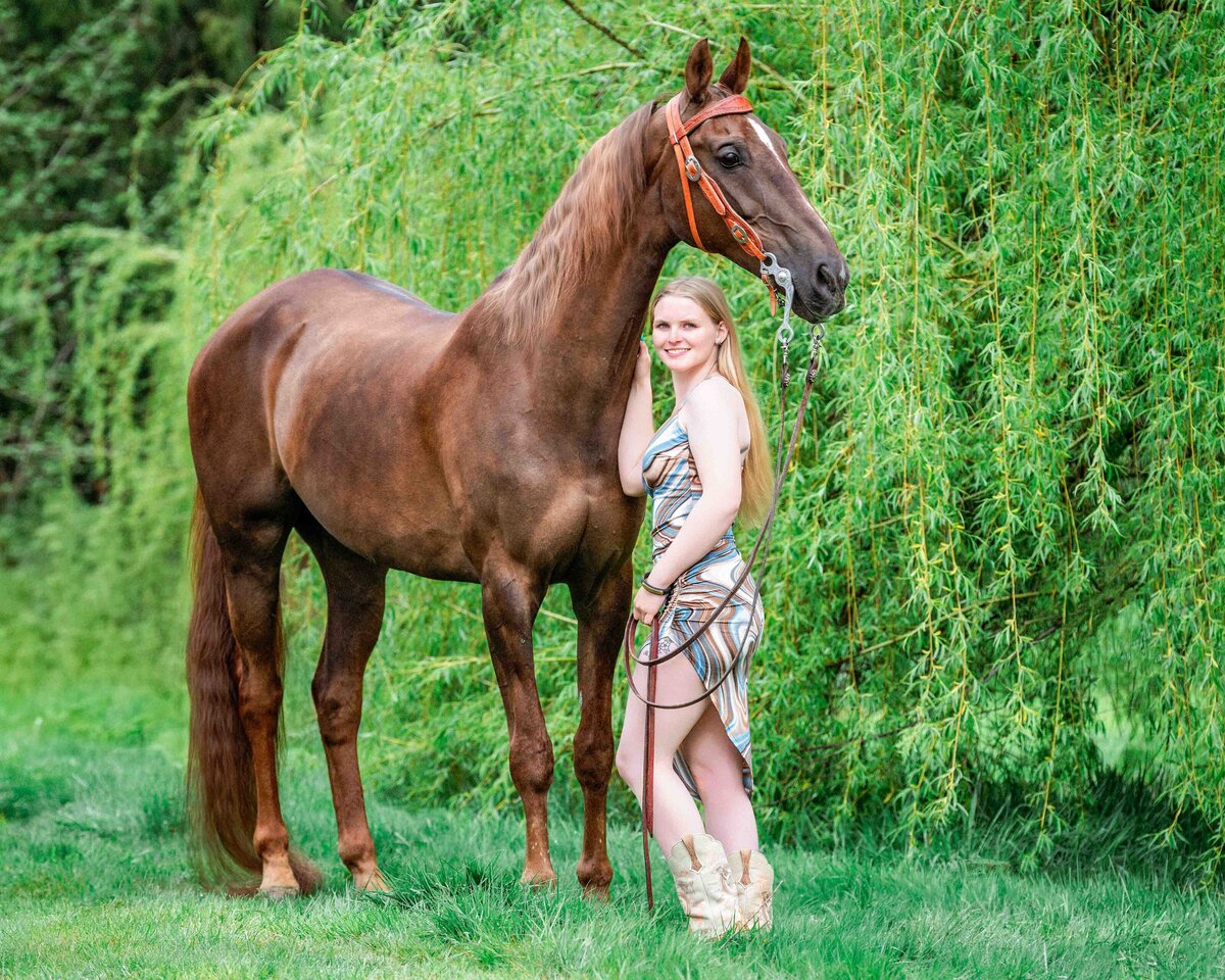 seattle-equine-photogrpaher