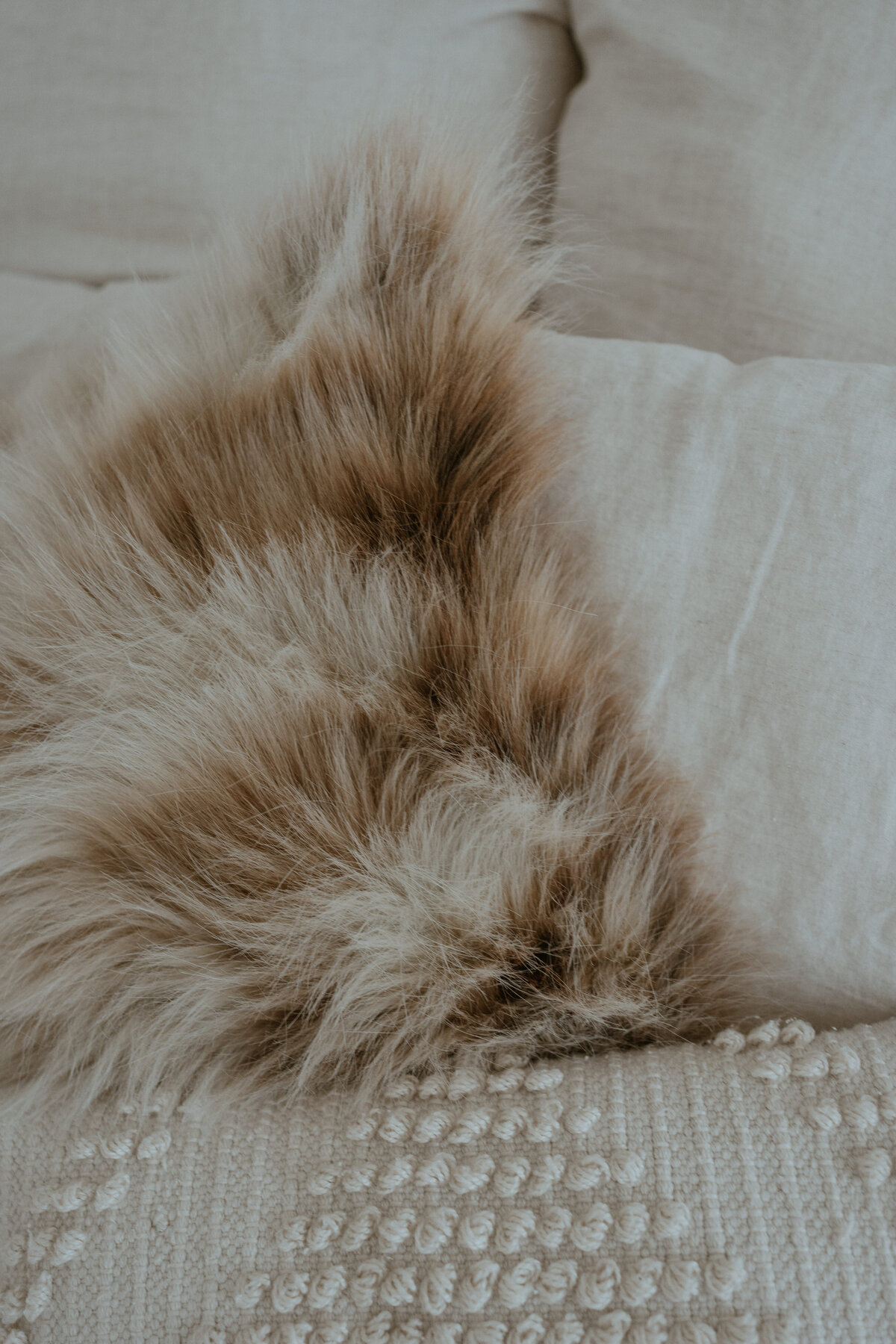 stefaniedewelphotography-5 116