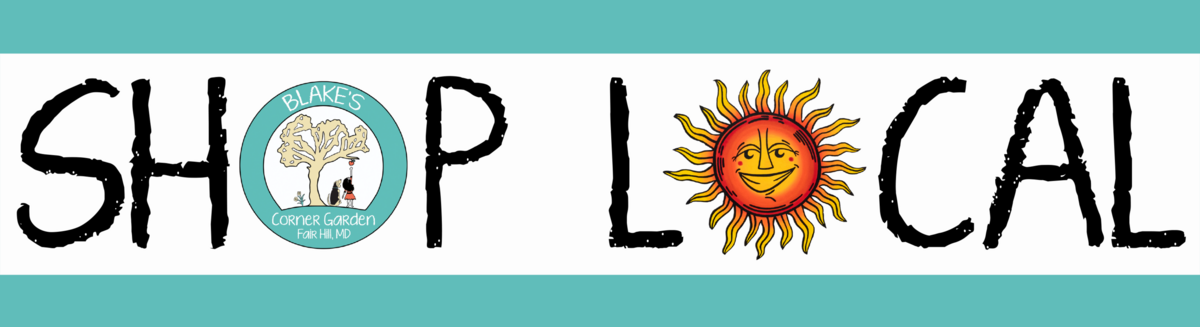 BCG - Bumper Sticker 1 - Shop Local - Yellow Sun