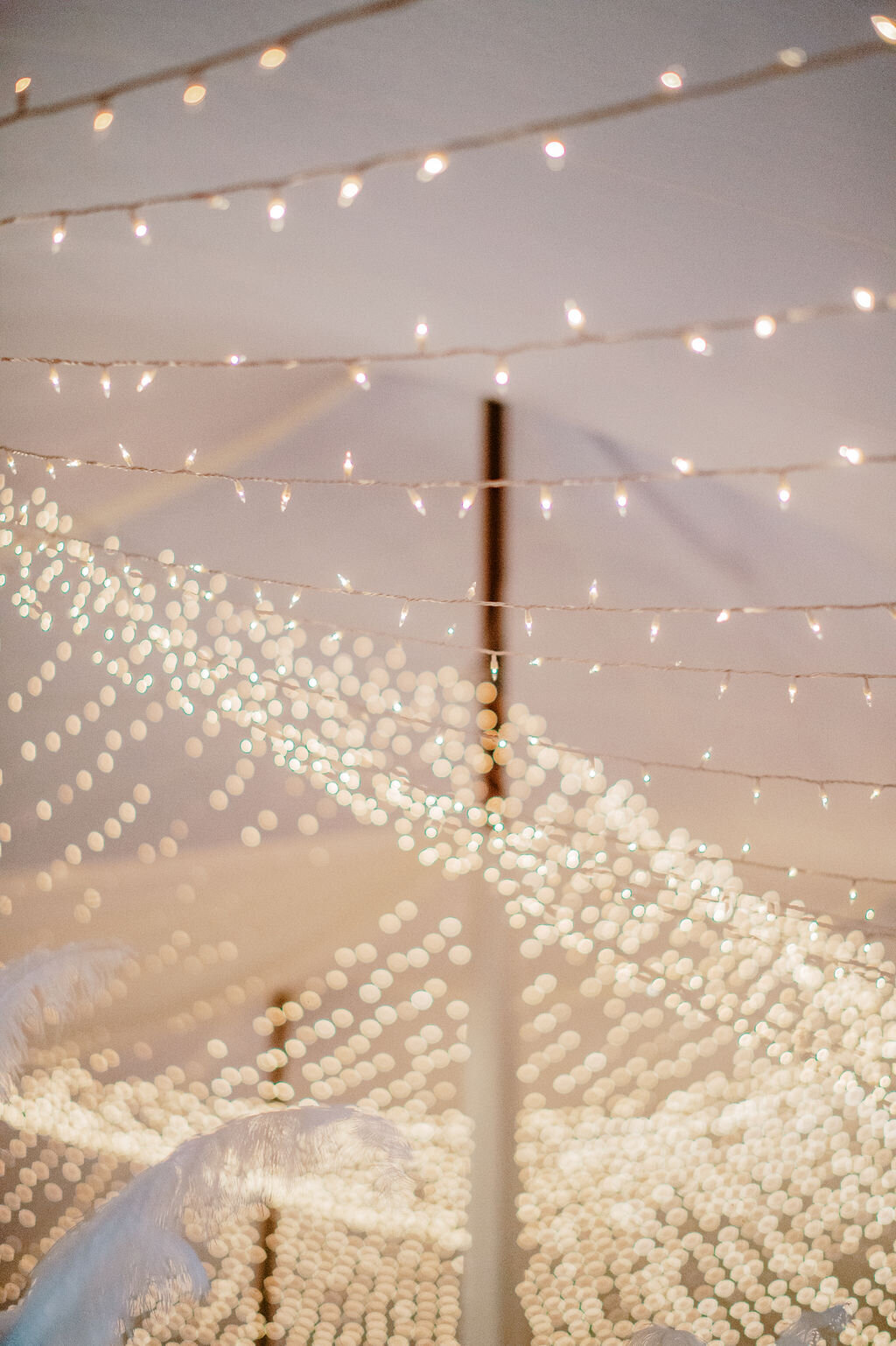 Tyler-Lauren-Wedding-photo-237