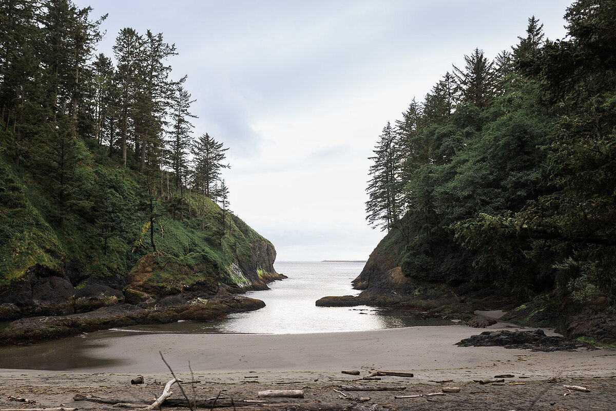 Final_Seaview Washington Elopement - Tara Nichole Photo - 2024 - Lauren and Jarrod-169