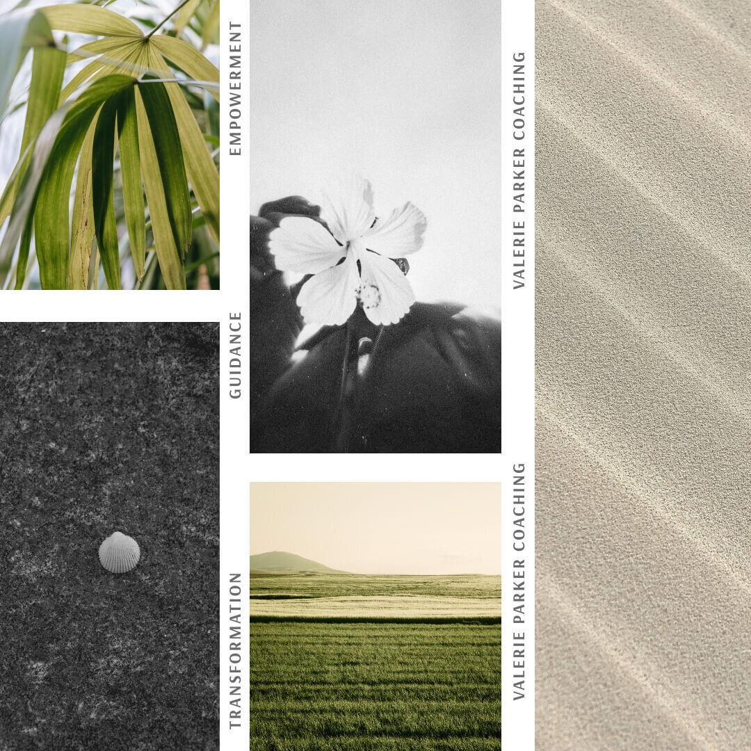 branding - valrie parker - moodboard