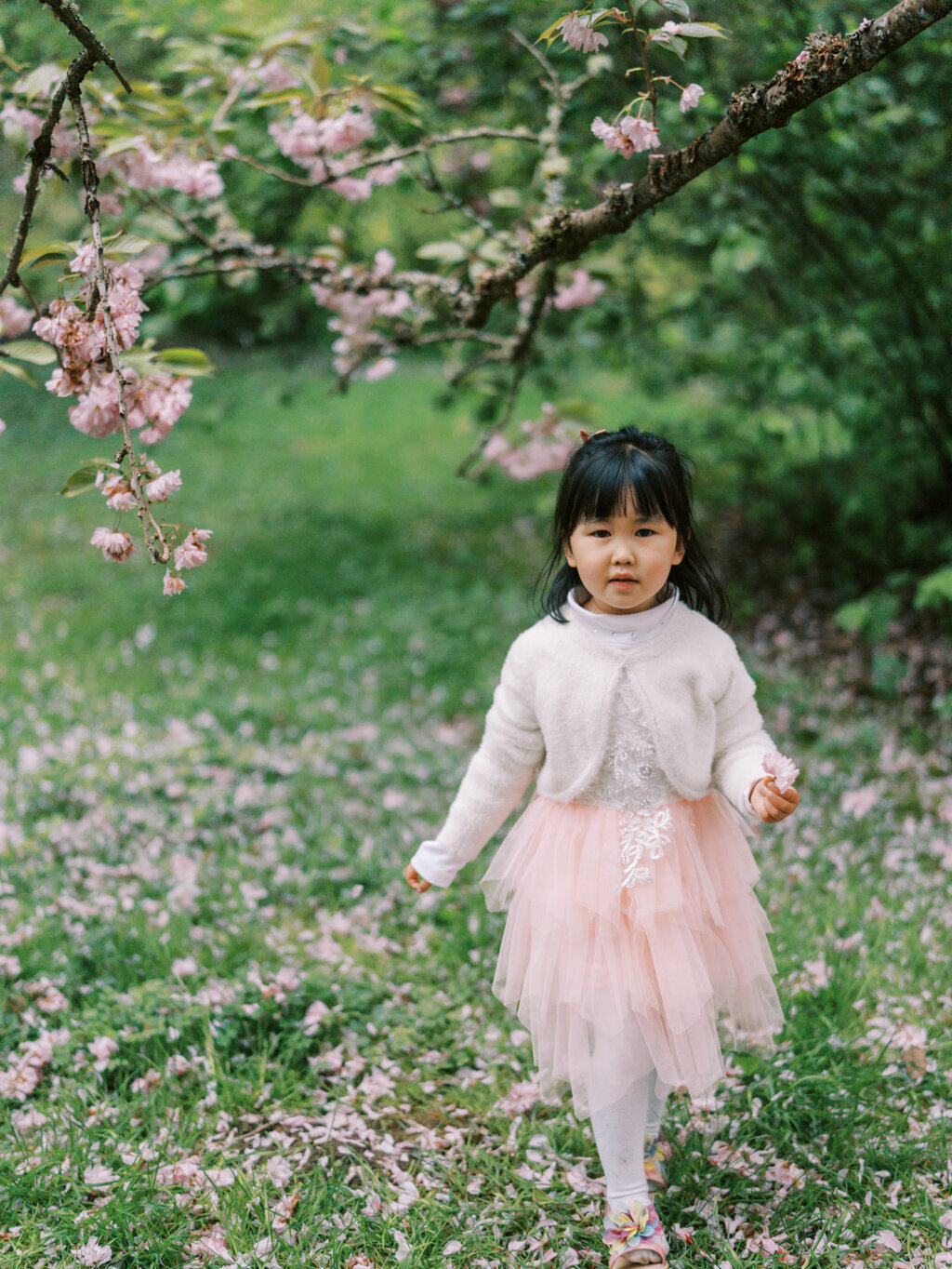 Tanya Zagumenov Washington Park Arboretum Seattle Maternity Session Yanjin-107