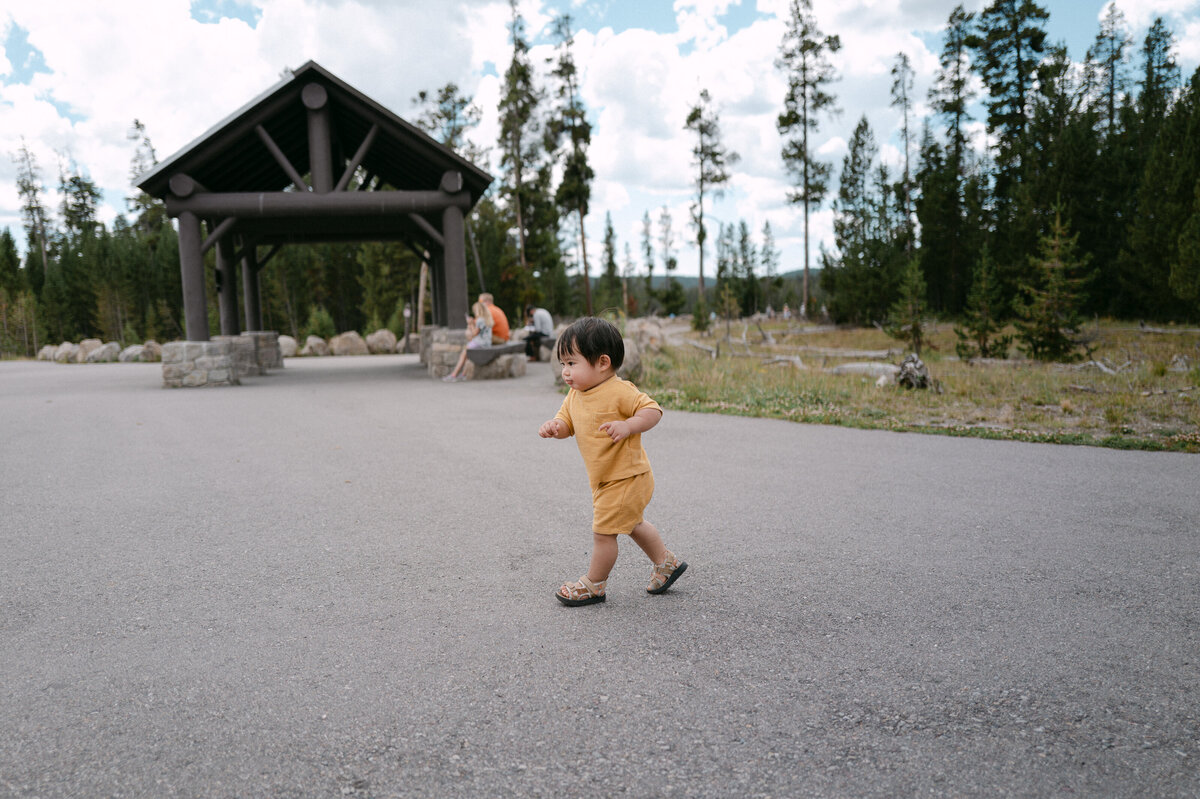 Yellowstone-Grand Tetons 2024 (359 of 488)