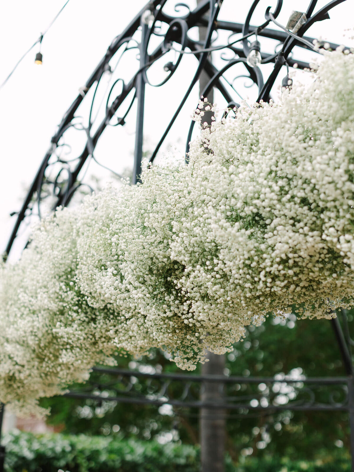 Fluffy white baby's breath flowers adorn a black wrought iron arch, set in an outdoor garden. The scene feels delicate and romantic.
