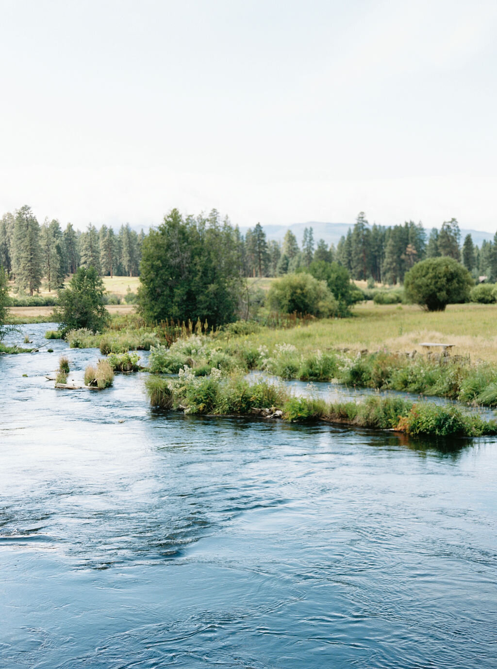metolius-river-wedding