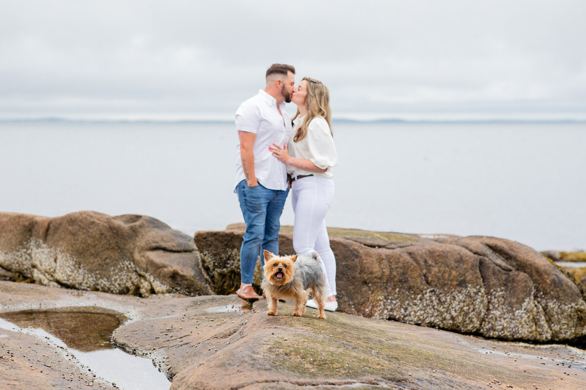 Halibut-Point-State=Park-engagement-session-Kelly-Pomeroy-Photography-Bianca-Casey--162