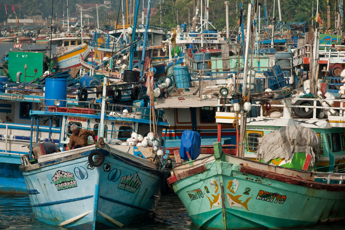 Fishing Boats- Negombo - Sri Lanka 1-2