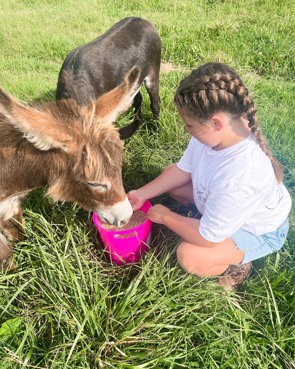 TVIG FARM