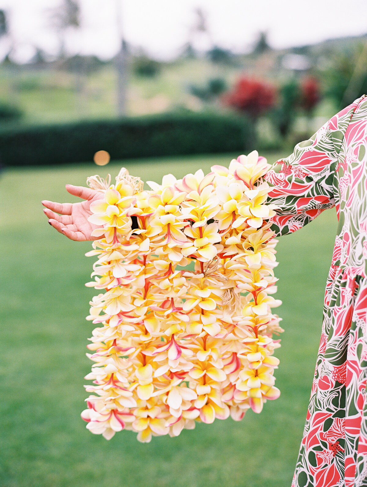 Kauai Wedding photographer Mami Wyckoff Photography engagement family maternity portrait 195