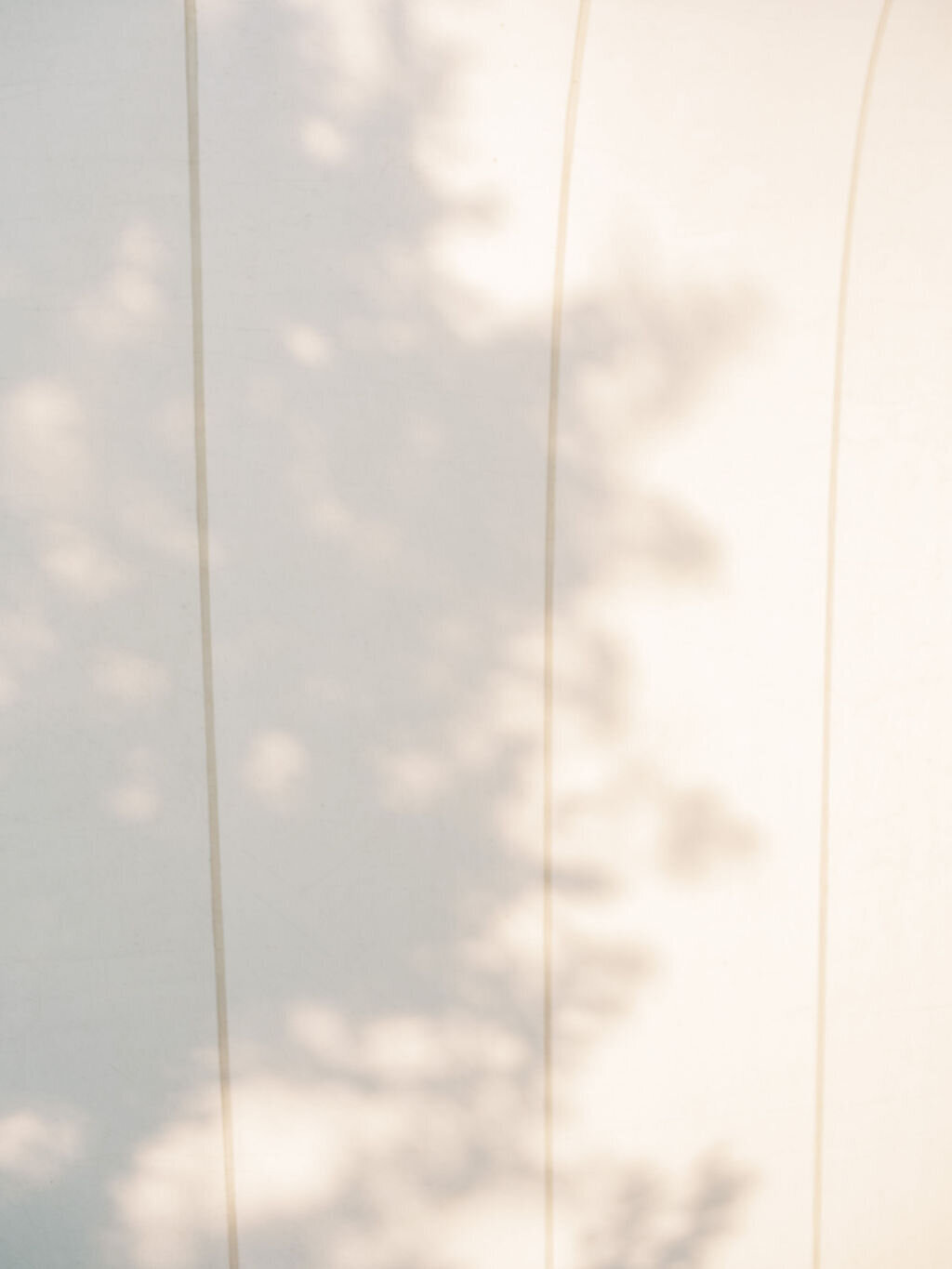 Erin&Austin_KeswickVineyardsWedding_SneakPeek-100