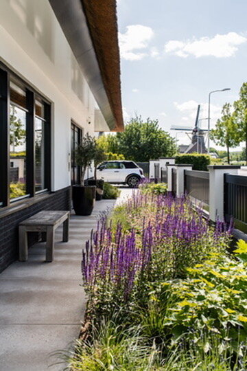 C6838123-472B-45DD-967A-1E85D815FE80_4_5005_c