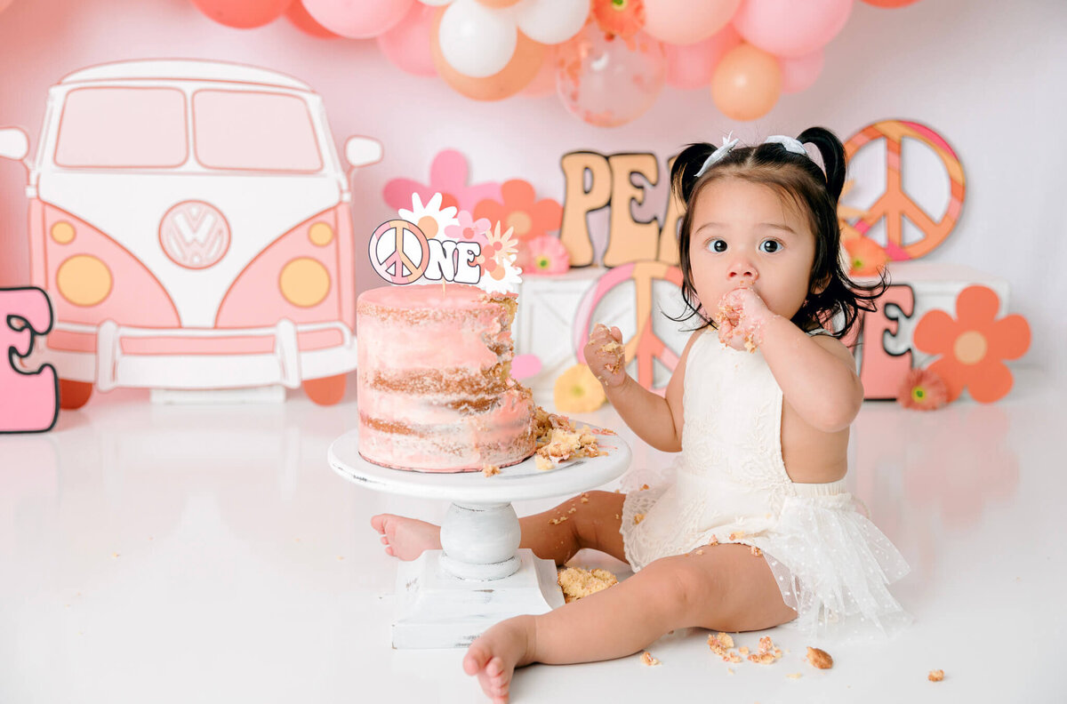 new-jersey-smash-cake-photographer-81