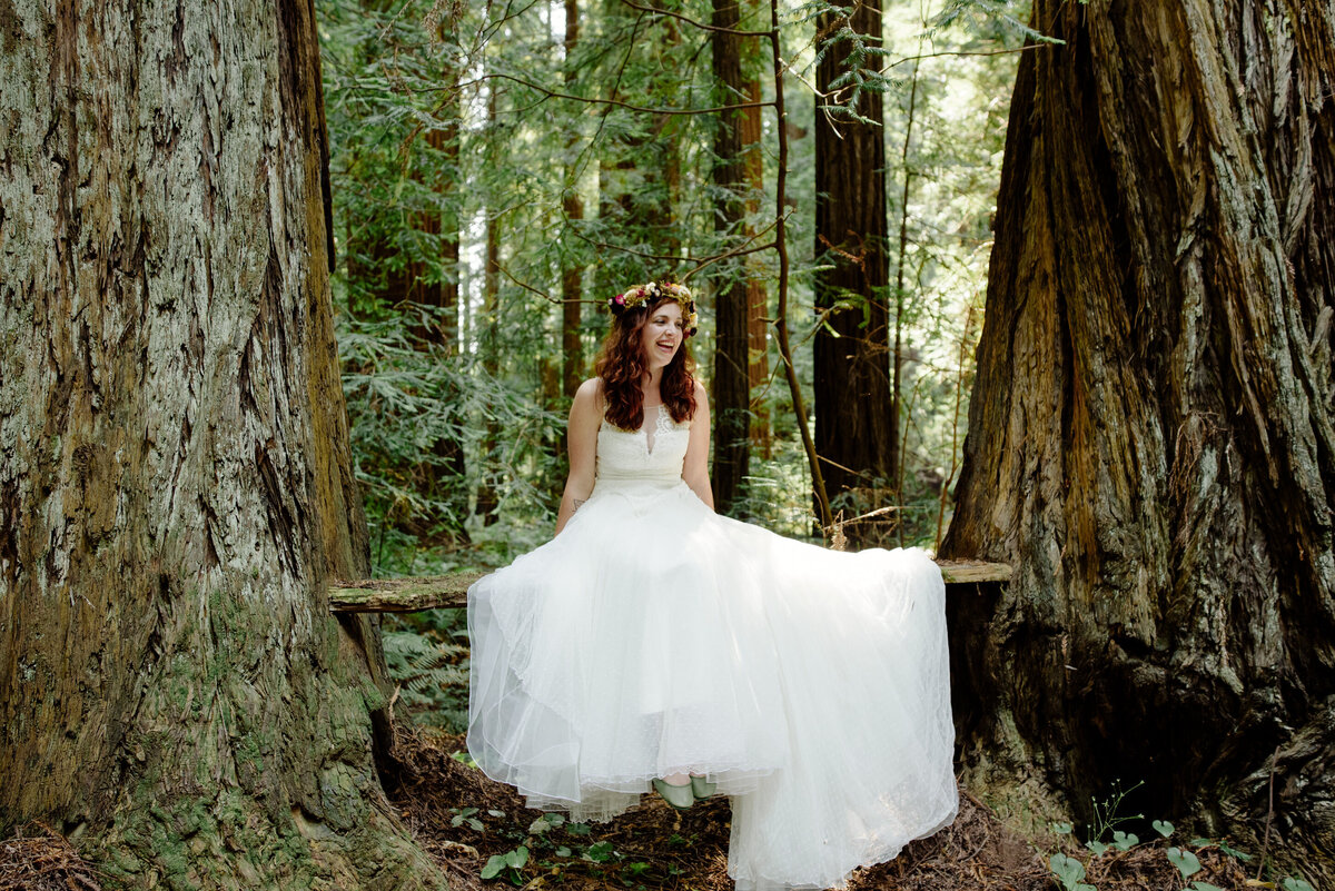 Bride sits on redwood bench between giant trees waiting for first look