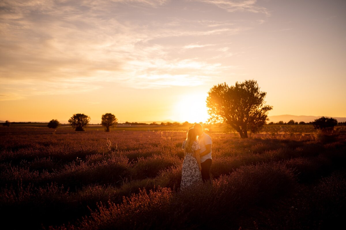 Provence_Proposal_Lavender-Valensole_0025