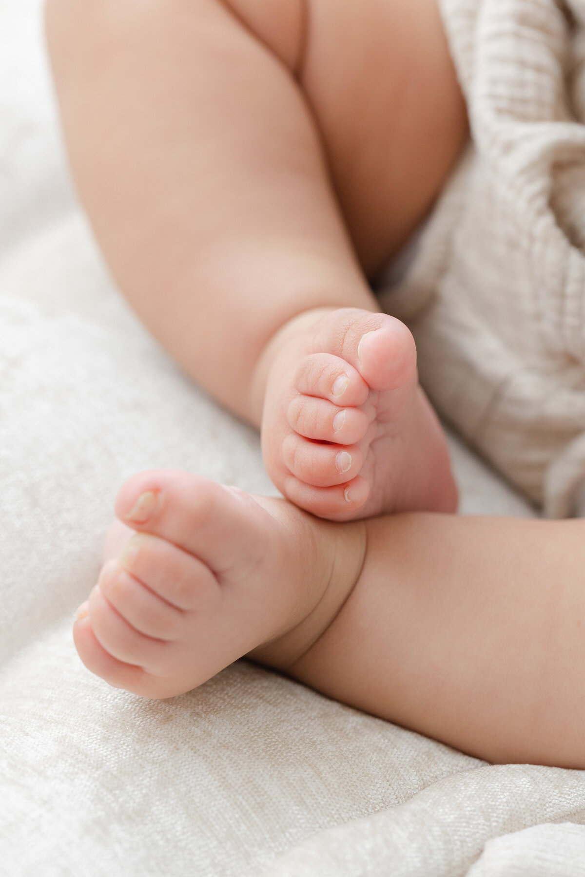 6 month baby milestone portrait session at Philadelphia photography studio - 4