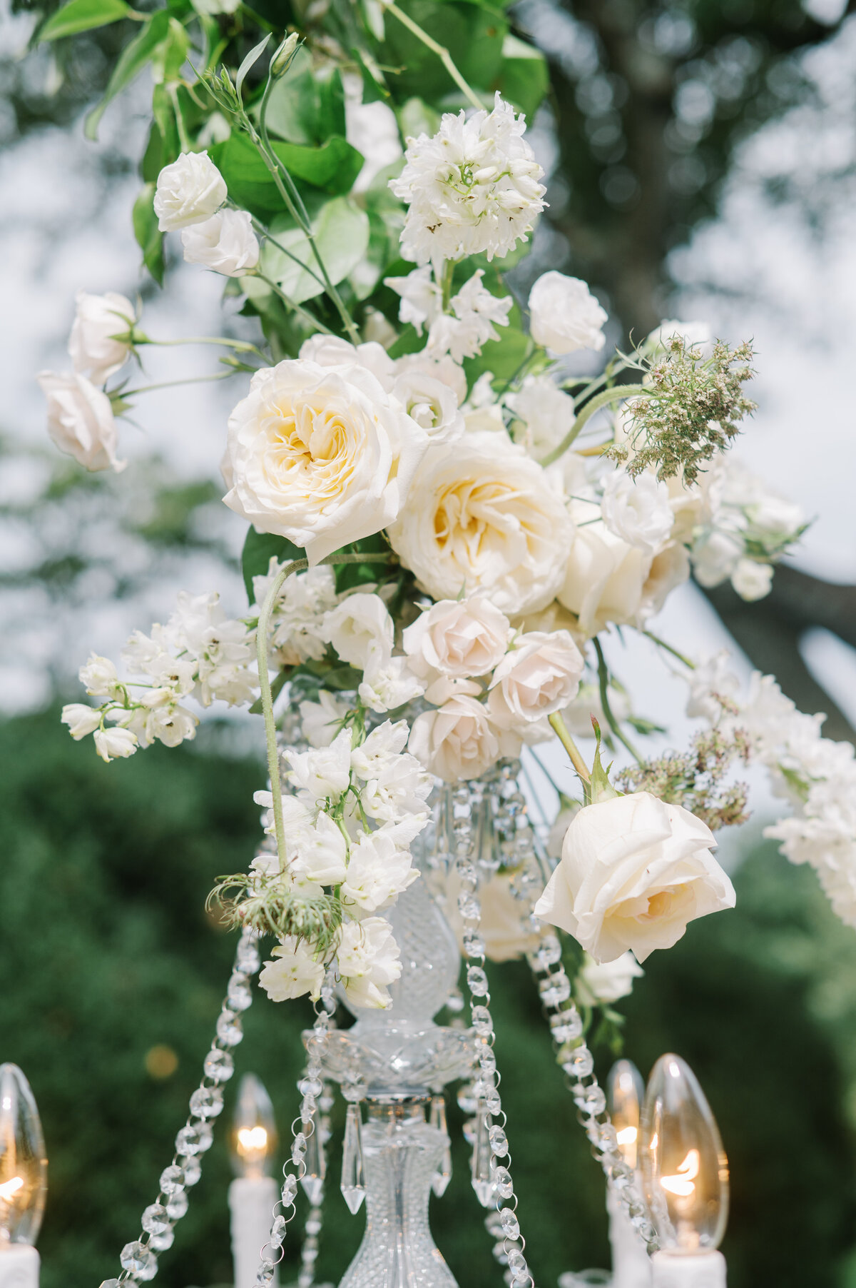 Glenstone-Gardens-Editorial-72