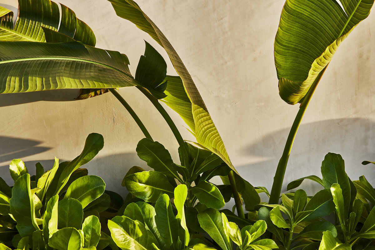 ETE_Public-Spaces_Property_2022_052A5810