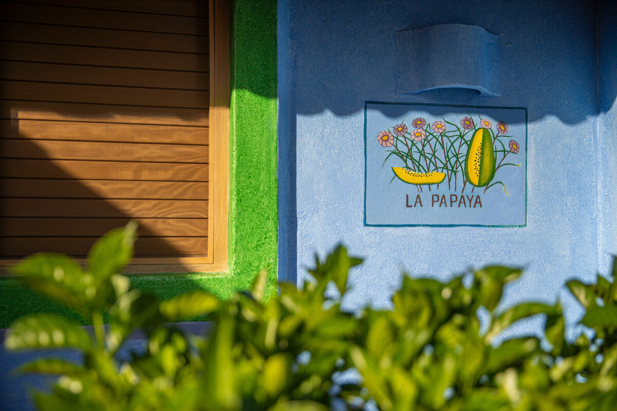 Casita Papaya-06
