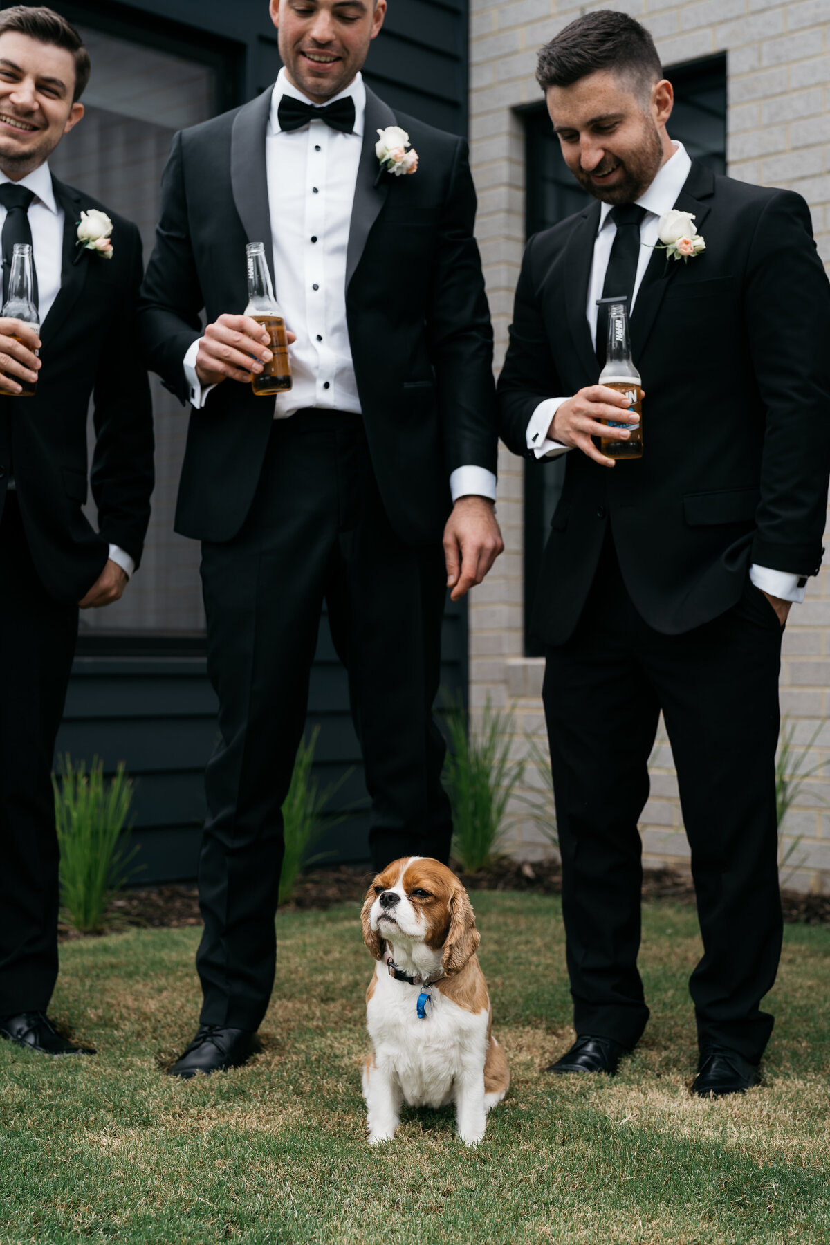 Courtney Laura Photography, Kate and Nick, Yarra Valley Wedding Photographer, Vue on Halcyon-68