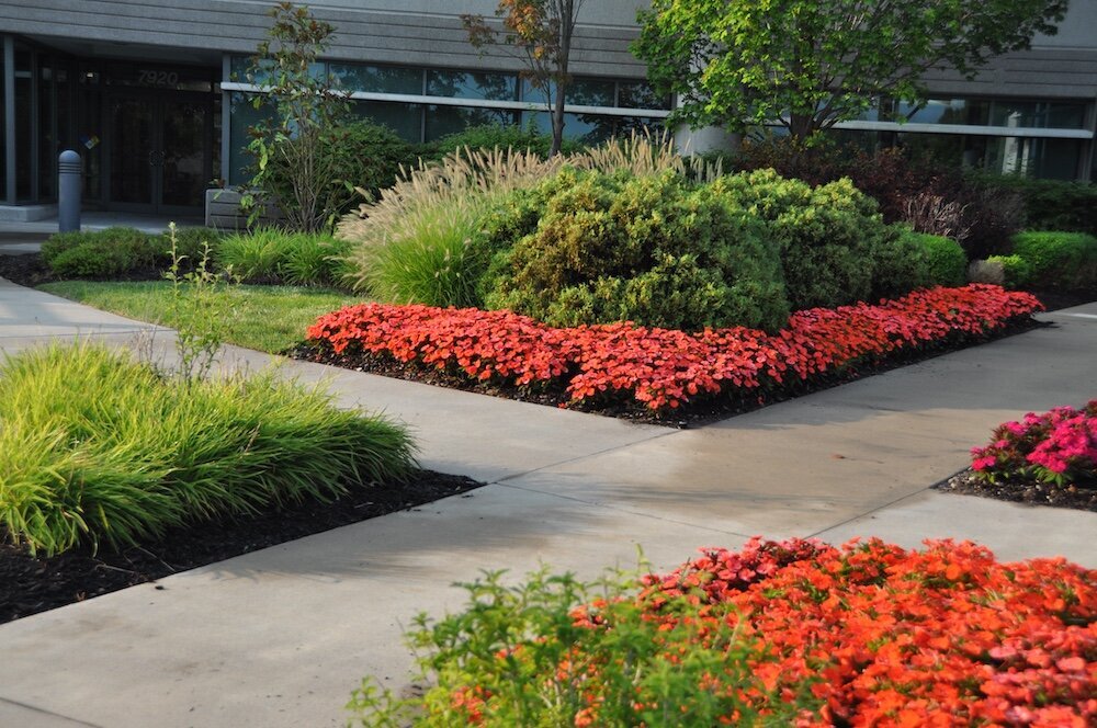 Commercial landscape company project in Kansas City