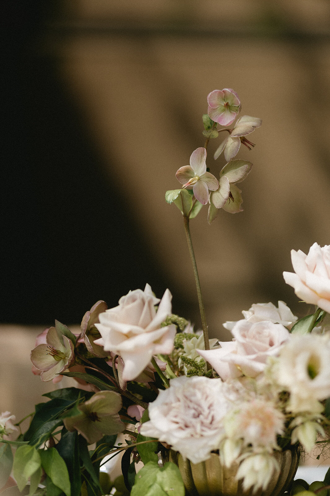 chateau-des-charmes-wedding-396