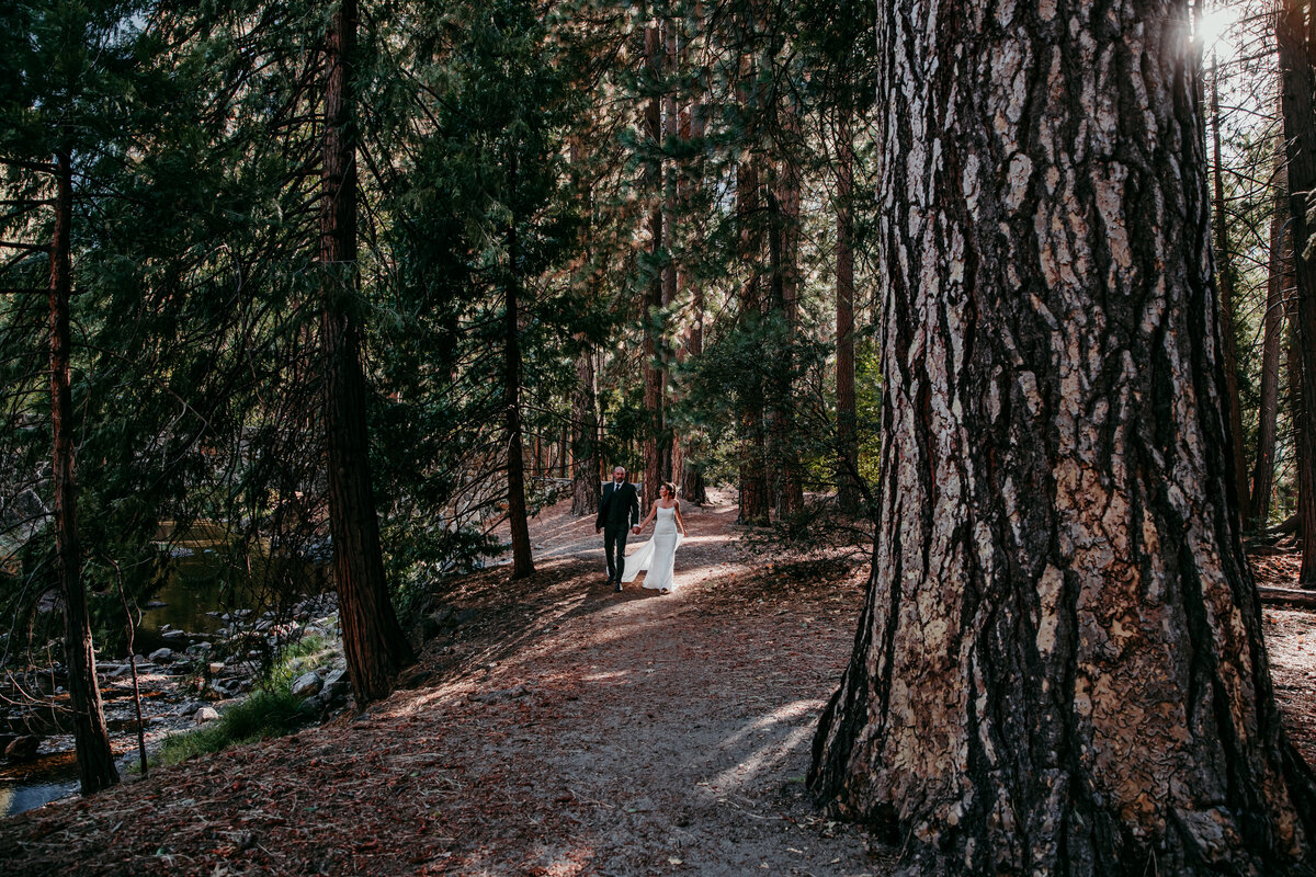 redwoods-elopement-photography