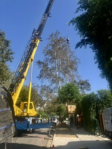 E1B60399-246E-4F05-B3F1-02DC00C9B93F_4_5005_c