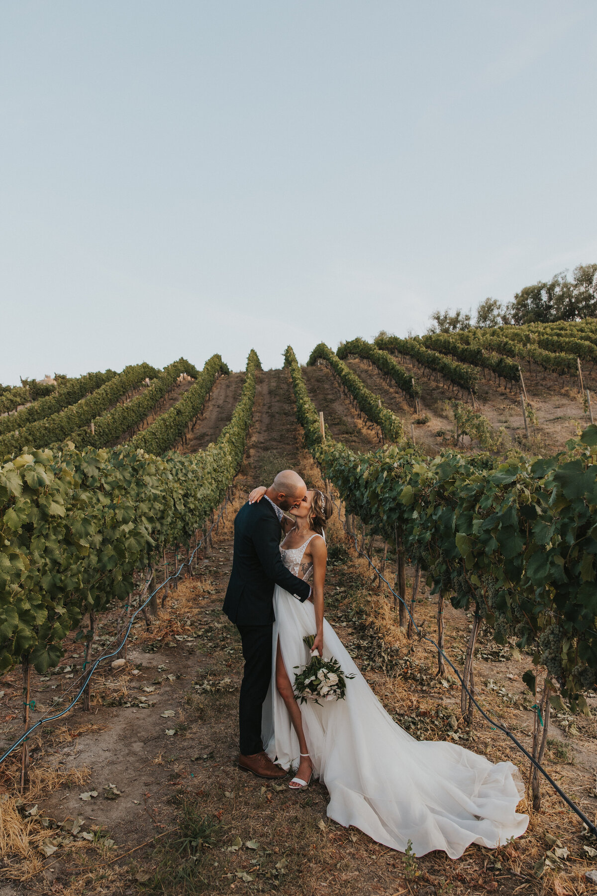 vineyard-wedding-session
