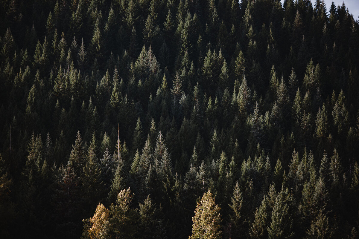PORTLAND-27