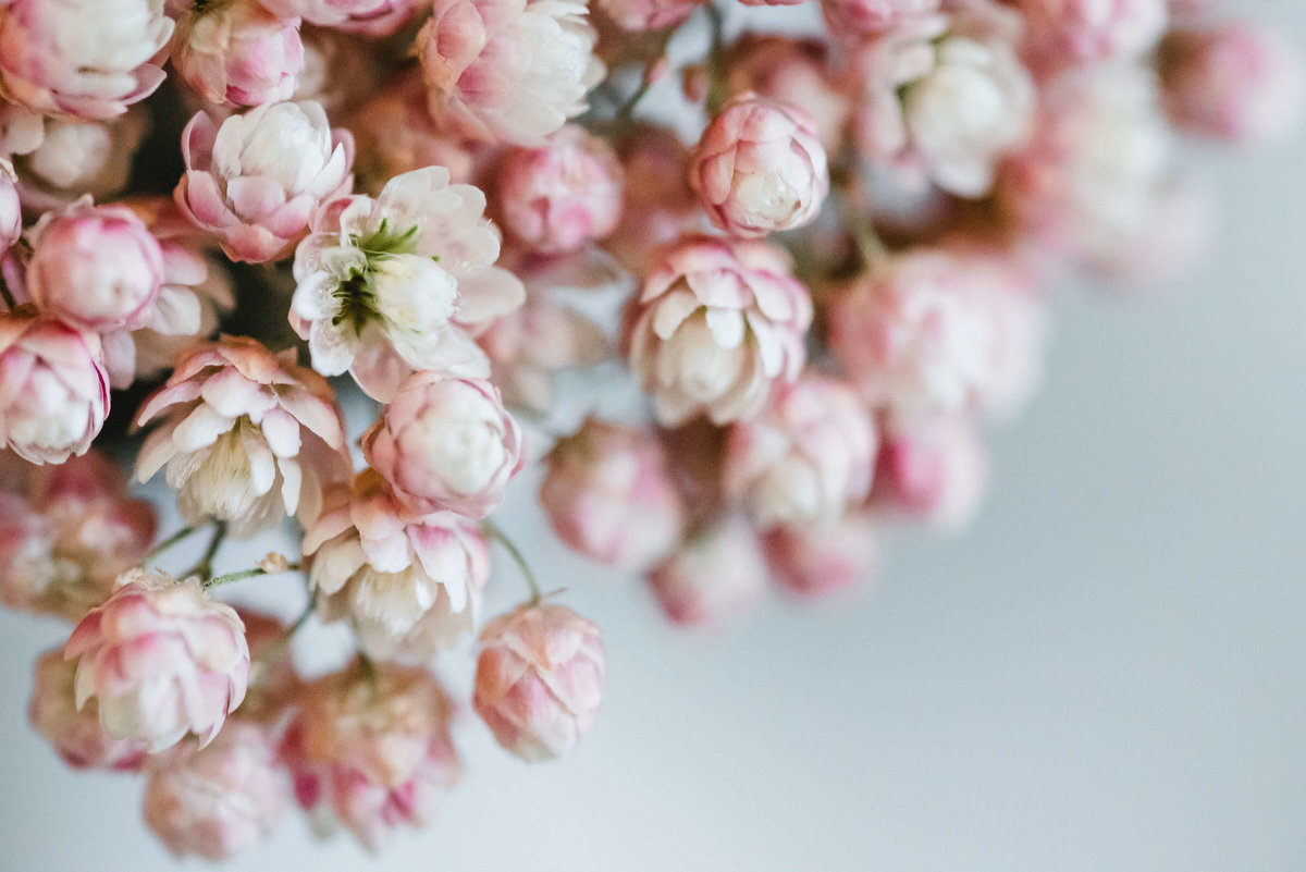 personal_33030703284_65f113b3d7_o