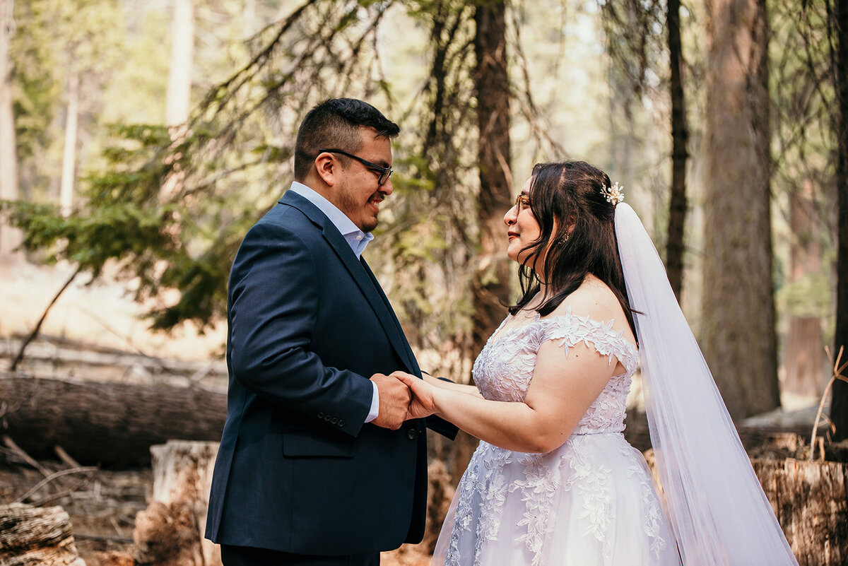 yosemite-elopement-photographer-48