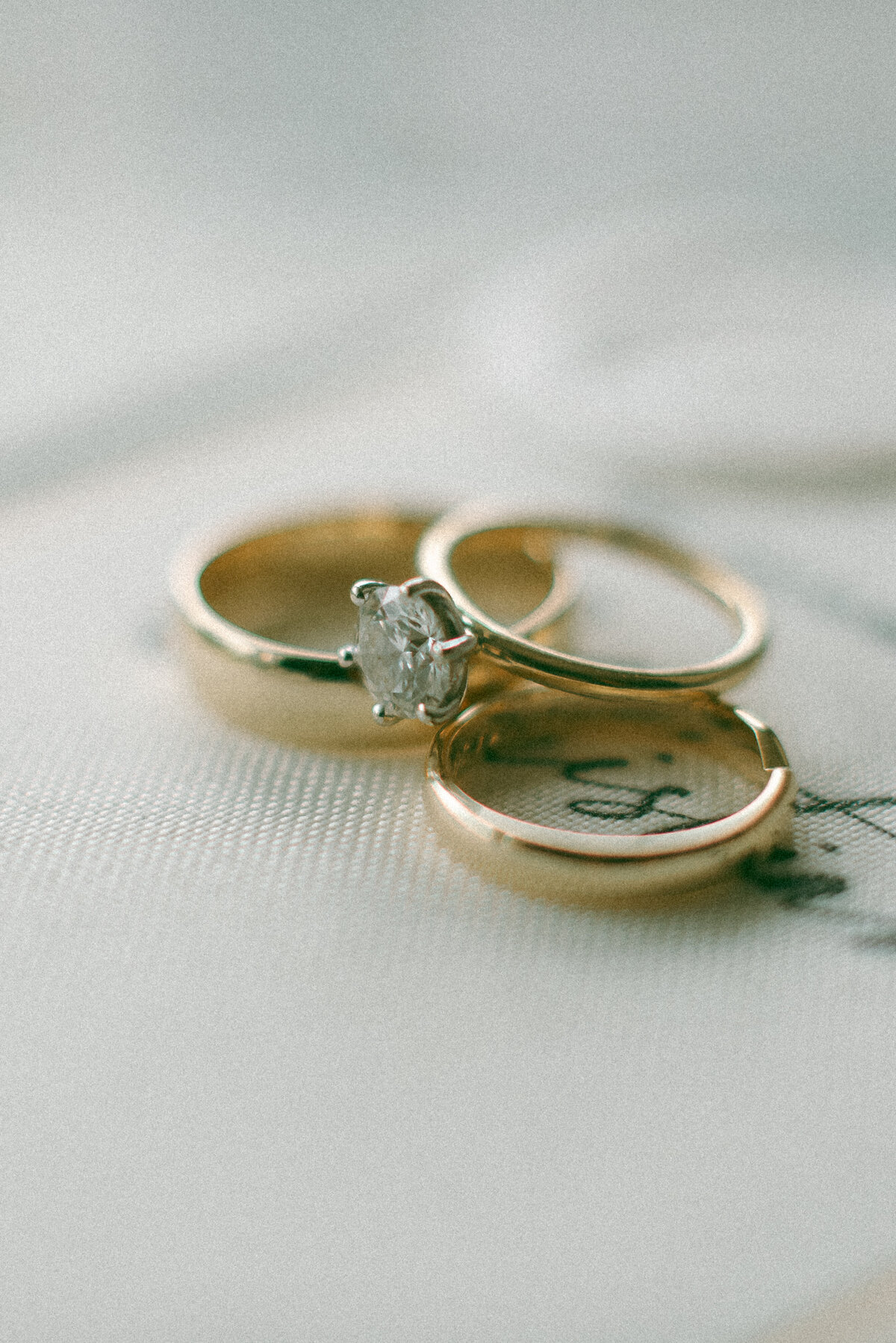 Melissa & Christian's Wedding August 17, 2024 - Shania Crivelli Photography-133