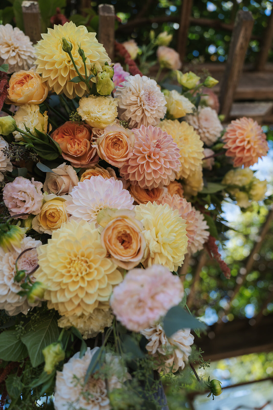 MarcusTrawick-149_websize